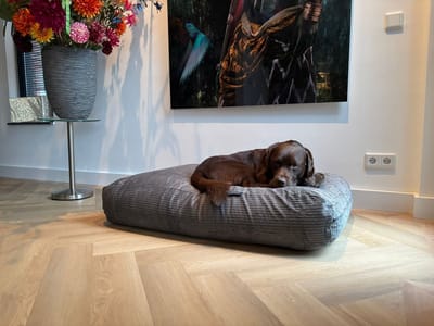 Dog's Companion Hondenkussen / Hondenbed - XS - 55 x 45 cm - Muisgrijs Double Ribcord