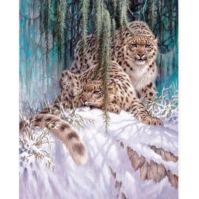 5D DIY volledige ronde Diamond schilderij sneeuwluipaard borduren kruissteek 20X30CM gray