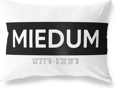 Tuinkussen MIEDUM - FRIESLAND met coördinaten - Buitenkussen - Bootkussen - Weerbestendig - Jouw Plaats - Studio216 - Modern - Zwart-Wit - 50x30cm