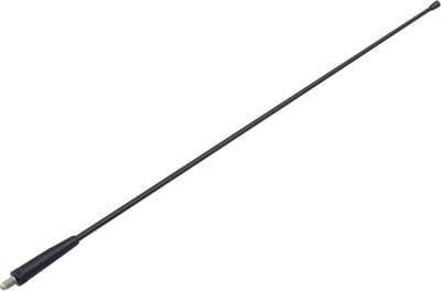 Calearo Spriet Antenne AM/FM spriet 41cm. M6