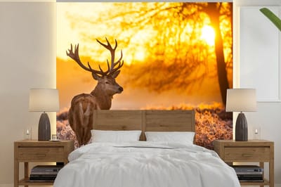 Behang - Fotobehang Hert - Dieren - Zonsondergang - Winter - Heide - Natuur - Breedte 240 cm x hoogte 240 cm