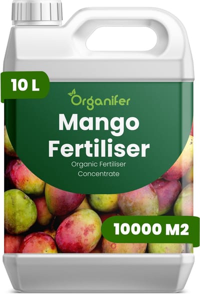 Vloeibare Meststof Voor Mango 10 L Voor 10000 M2 - Npk 2-1-8 - Bevordert Sterke Bladgroei En Structurele Ontwikkeling - Verbetert Bloei - Vruchtzetting En De Zoetheid - Verbetert De Vitaliteit Op De Lange Termijn - Organifer