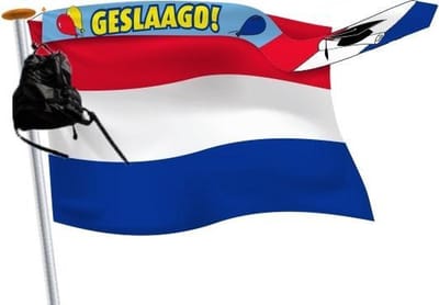 Geslaagd wimpel 18x165cm blauw