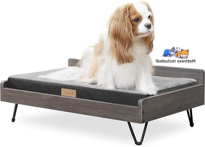 Houten Hondenbed - Hondenbank Verhoogd - Comfortabel Rusten - Greenguard Gold Certificaat - 305" L x 194" B - Mokka