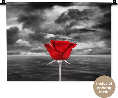 Wandkleed Rood zwart wit - Zwart-wit foto van een rode roos tegen een zee en een bewolkte lucht Wandkleed katoen 60x45 cm - Wandtapijt met foto