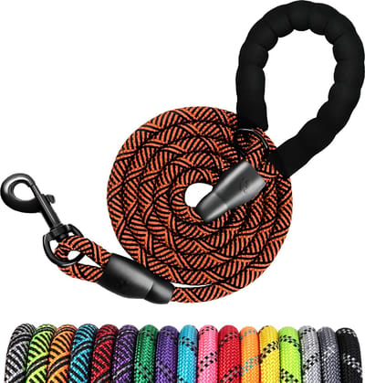 JAXY Hondenriem - Nylon Hondenlijn - Gevoerd Handvat - Robuust Touw - Reflecterende Looplijn Hond - 1,5 M - Zwart/Oranje