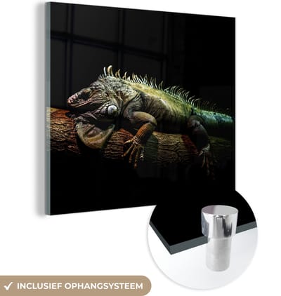 MuchoWow® Glasschilderij 50x50 cm - Schilderij acrylglas - Dier - Tak - Zwart - Foto op glas - Schilderijen