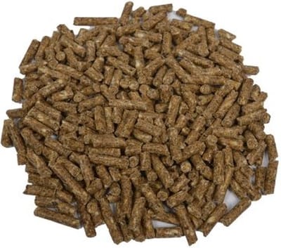 Wielink Zeugenkorrel 20KG