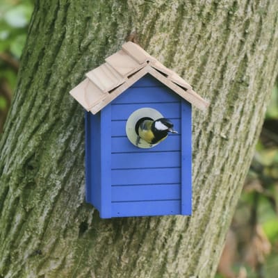 CJ Wildlife Nestkast voor Pimpelmees & Koolmees - Beach - Nestkastje - Houten Vogelhuisje - Donkerblauw