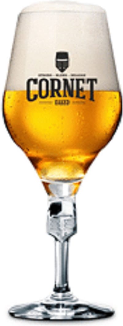 Cornet bierglazen 25cl - 3 stuks