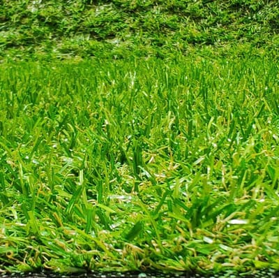 Kunstgras Tapijt - Buiten Tapijt - Tuin Balkon - 20mm Hoog Drainage - 100x300cm - Groen