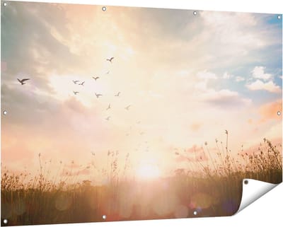 Gards Tuinposter Silhouet Vogels tijdens Zonsopkomst - 150x100 cm - Tuindoek - Tuindecoratie - Wanddecoratie buiten - Tuinschilderij