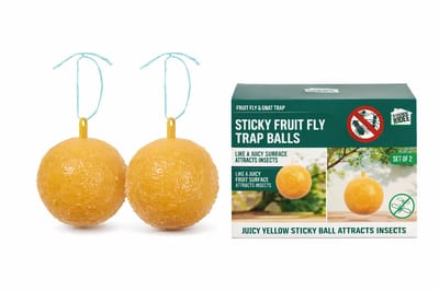 Plakballen tegen Vliegende Insecten voor Tuin & Boom – 2 Stuks – Gele Insectenvanger om Op te Hangen – Fruitvliegjes Plak Ballen – Ongedierte Bestrijding – Ecologisch – Geel