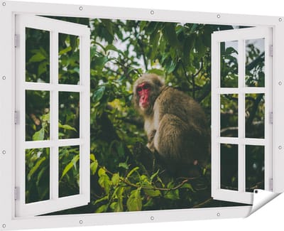 Gards Tuinposter Doorkijk Aap in de Boom tussen de Bladeren - 180x120 cm - Tuindoek - Tuindecoratie - Wanddecoratie buiten - Tuinschilderij
