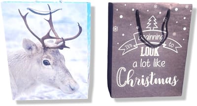 4 Luxe Winter / Kerst Cadeautasjes A4 formaat 33x26cm - Kerst Papieren cadeautasjes met Full-color bedrukking