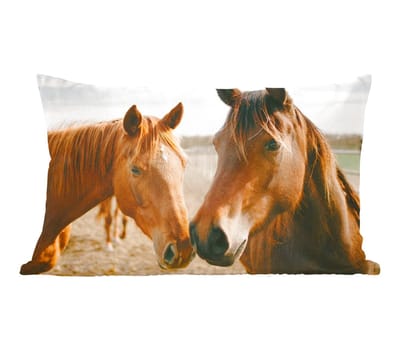 Sierkussens - Kussentjes Woonkamer - 50x30 cm - Paard - Strand - Dieren