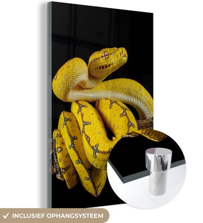 MuchoWow® Glasschilderij 120x180 cm - Schilderij acrylglas - Slang - Tak - Geel - Foto op glas - Schilderijen