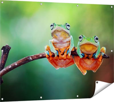 Gards Tuinposter Twee Boomkikkers op een Tak - 120x90 cm - Tuindoek - Tuindecoratie - Wanddecoratie buiten - Tuinschilderij