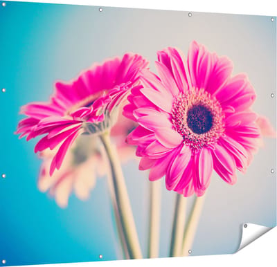 Gards Tuinposter Twee Roze Anjers - Bloemen - 150x120 cm - Tuindoek - Tuindecoratie - Wanddecoratie buiten - Tuinschilderij
