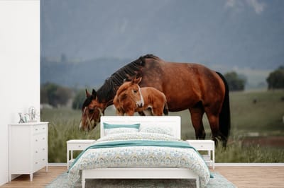 Behang - Fotobehang Paarden - Veulen - Natuur - Breedte 360 cm x hoogte 240 cm
