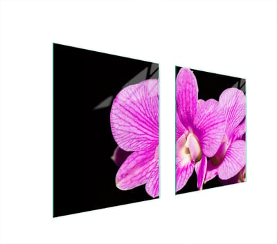 TMK ArtDeko Orchidea Serie - Glazen Beschermplaat - 85x52 cm - Voor Alle Kookplaten - Veelzijdig Keukenaccessoire