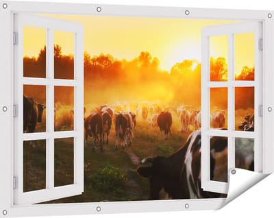 Gards Tuinposter Doorkijk Kudde Koeien in Weiland bij Zonsondergang - 120x80 cm - Tuindoek - Tuindecoratie - Wanddecoratie buiten - Tuinschilderij