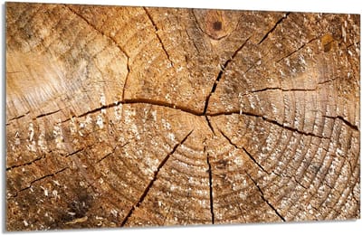 TMK ArtDeko Serie - Beschermplaat voor Keuken - Glas - 80x52 cm - Hout Print