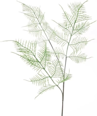 Bellatio Design Kunstbloem Asparagus/sierasperge - 80 cm - groen - losse tak - kunst zijdebloem/kunstplant