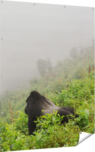 Gards Tuinposter Gorilla in het Woud tijdens de Mist - 120x160 cm - Tuindoek - Tuindecoratie - Wanddecoratie buiten - Tuinschilderij