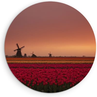 Saammp Muurcirkel Hout - Landschap - bloemenveld met een molen - Natuur - Ø 90 - Wandcirkel - Wanddecoratie Cirkel - Muurdecoratie Woonkamer - Slaapkamer decoratie - Rond Schilderij