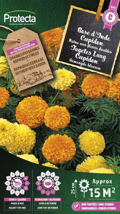 Protecta Bloemen zaden: Tagetes Laag Cupidon gemengd