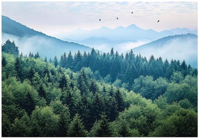 WALLARENA - Fotobehang - 150x105 cm - 3D bergen, bos, mist, natuur, slaapkamer, woonkamer, vliesbehang