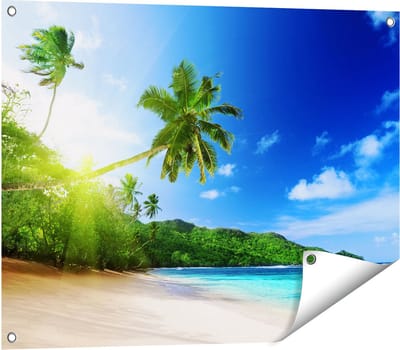 Gards Tuinposter Strand tijdens Zonsondergang in Seychellen - 80x60 cm - Tuindoek - Tuindecoratie - Wanddecoratie buiten - Tuinschilderij