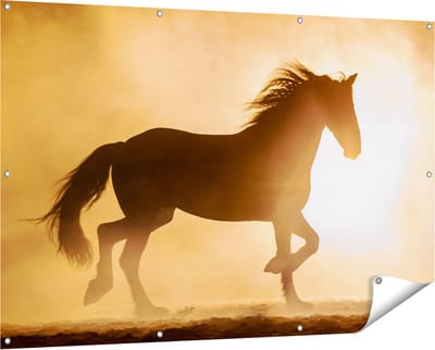 Gards Tuinposter Silhouet van een Paard - 150x100 cm - Tuindoek - Tuindecoratie - Wanddecoratie buiten - Tuinschilderij