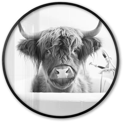 Poster in lijst Rond - Fotolijst 60x60 cm - Posters - Schotse Hooglander - Koe - Bad - Zwart wit - Ronde posterlijst zwart - Decoratie - Wanddecoratie woonkamer - Muurdecoratie slaapkamer