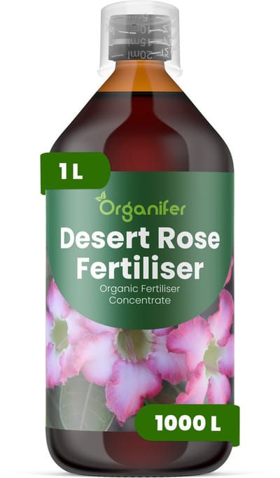 Vloeibare Meststof Voor Woestijnroos 1 L Voor 1000 L - Npk 2-1-8 - Sterke Caudexontwikkeling - Rijke Bloei - Levendige Bloemen - Sterk Wortelstelsel - Compacte Groei - Hittebestendig - Verhoogt De Tolerantie Voor Hitte - Organifer