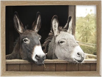 Mars & More Schootkussen Laptray - ezels print - laptray - 43 x 33 cm - Dienblad voor op schoot