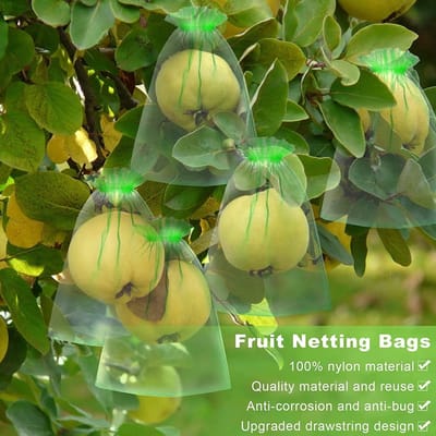Dailygoods- Fruitbeschermingszakken 100 Stuks - Ademend/Lichtdoorlatend - Herbruikbare Fruithoes - Trekkoord - Geschikt voor Fruitbomen/Groententuin - Voorkomt Bederf/Rot