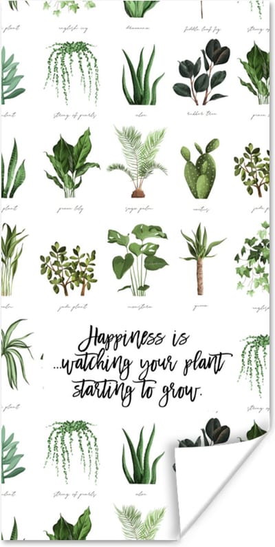 Poster Quotes - Happiness is... watching your plant starting to grow - Spreuken - Kamerplanten - 80x160 cm