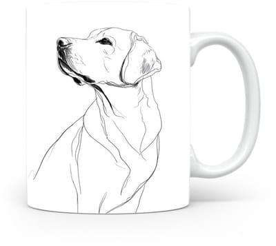 Beker Labrador Retriever