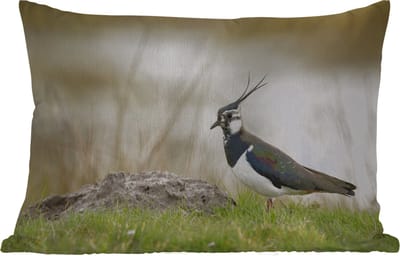 Buitenkussens - Tuin - Vogel - Gras - Dieren - Natuur - Kievit - 50x30 cm