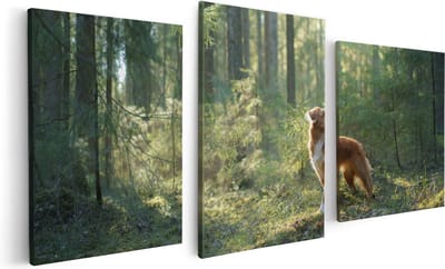 Artaza Canvas Schilderij Drieluik Retriever Hond In Het Bos Met Zon - 120x60 - Foto Op Canvas - Canvas Print