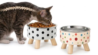 MAGICSHE 2 Stuks Katten Voerbak Verhoogd - Dubbele Rvs Voerbakjes Met Standaard - Antislip - Drinkbak En Eetbak