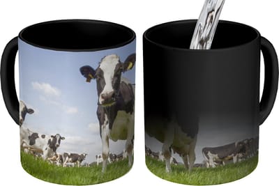Magische Mok - Foto op Warmte Mokken - Koffiemok - Koeien - Gras - Dieren - Zon - Boerderij - Magic Mok - Beker - 350 ML - Theemok