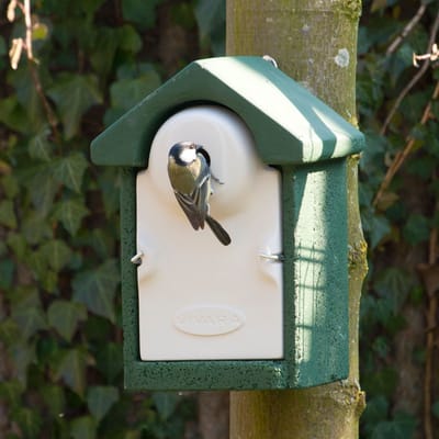 CJ Wildlife Nestkast - Woodstone - 28mm - Nestkastje voor o.a. Koolmees, Boomklevers & Mussen - Houten Vogelhuisje - FSC-gecertificeerd - Groen