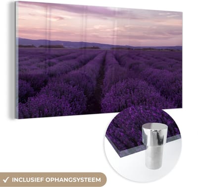 MuchoWow® Glasschilderij 40x20 cm - Schilderij acrylglas - Lavendel - Paars - Bloemen - Natuur - Foto op glas - Schilderijen