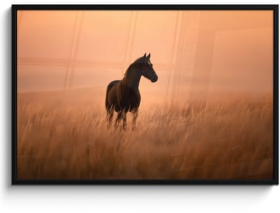 Poster in lijst - Fotolijst 120x80 cm - Posters - Paard - Grasveld - Zonsondergang - Posterlijst zwart - Decoratie - Wanddecoratie woonkamer - Muurdecoratie slaapkamer