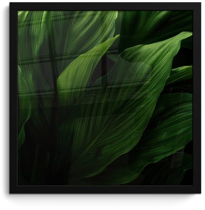 Poster in lijst - Fotolijst 40x40 cm - Posters - Bladeren - Schaduw - Groen - Textuur - Posterlijst zwart - Decoratie - Wanddecoratie woonkamer - Muurdecoratie slaapkamer