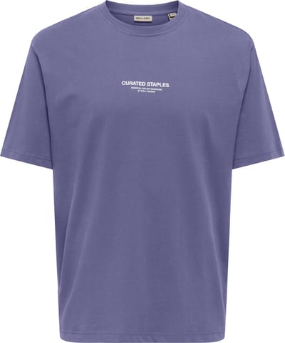 ONLY&SONS - ONSCURATED RLX PRINT SS TEE NOOS - Heren - T-shirts