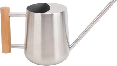 Kleine Gieter - Waterkan Plant - Kamerplanten Verzorgen - Lange Nauwkeurige Uitloop - 11H x 26D cm - Zilver